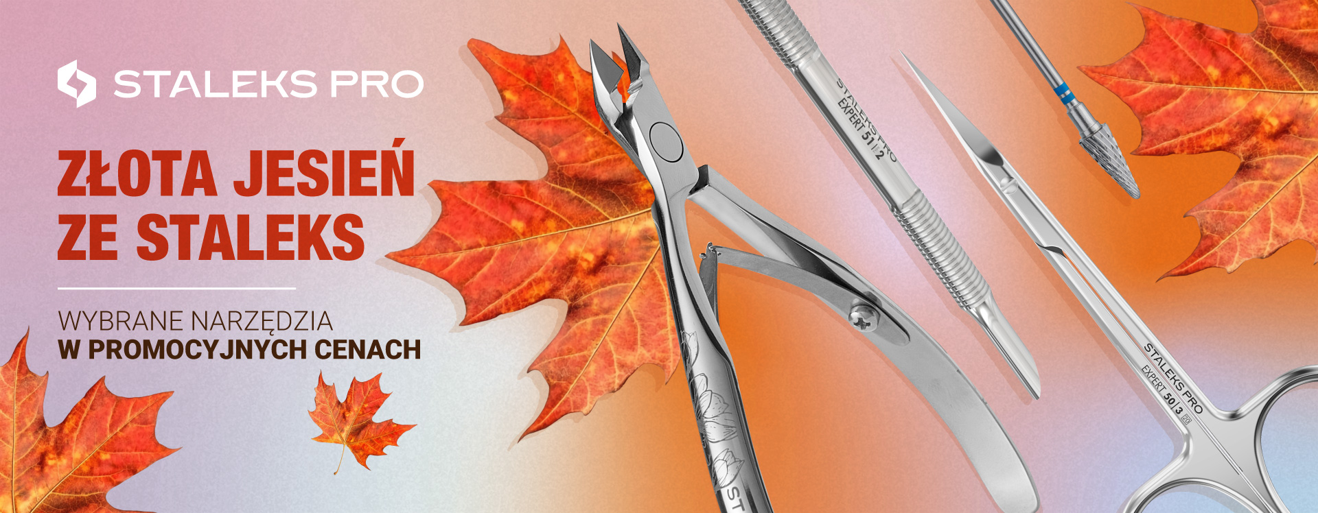 BANER - promocje jesienne studeks